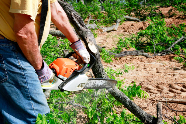 Best Leaf Removal  in Connersville, IN